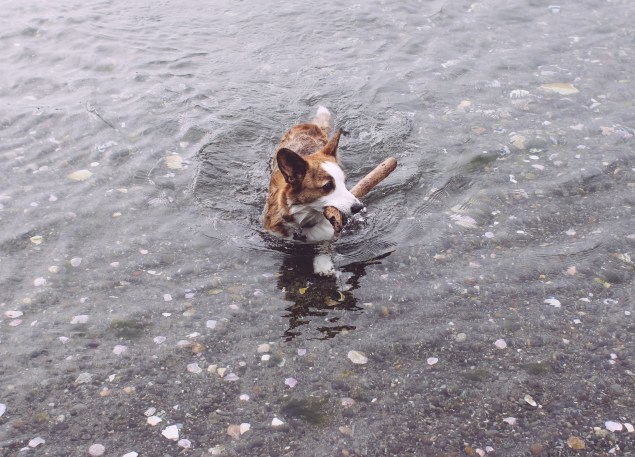 Seattle Vacation Oct 2014 (21 of 75)