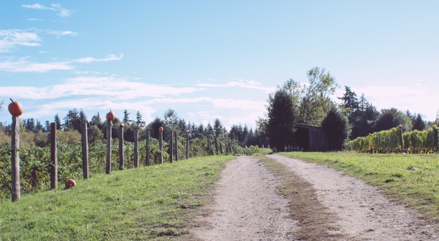 Seattle Vacation Oct 2014 (26 of 47)