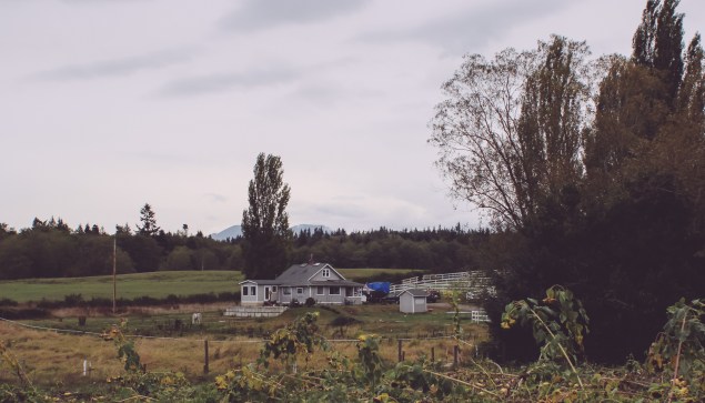 Seattle Vacation Oct 2014 (45 of 75)