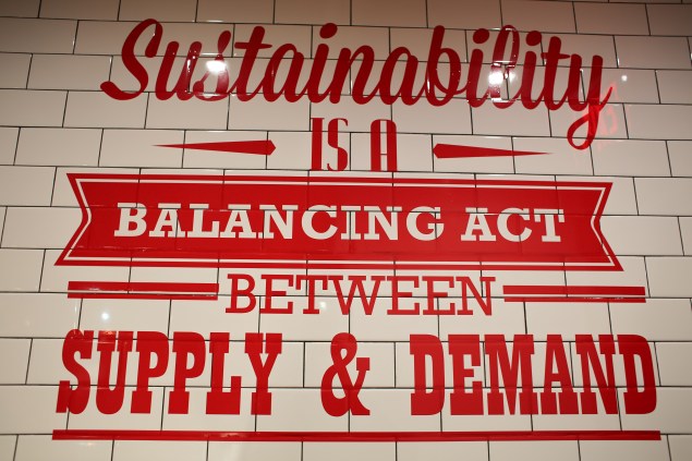 Slapfish Edited (22 of 27)