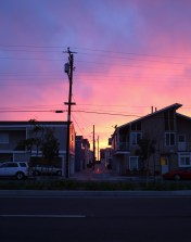 Slapfish Edited (7 of 27)