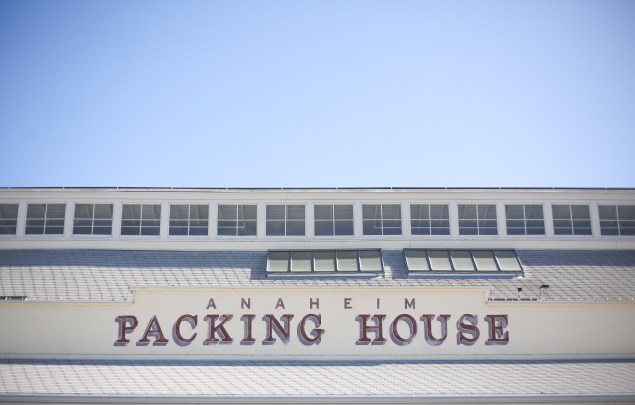 Firkfest 2015 Edited  (43 of 43)