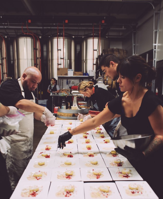 Fundamental Observation Edited Pics-61