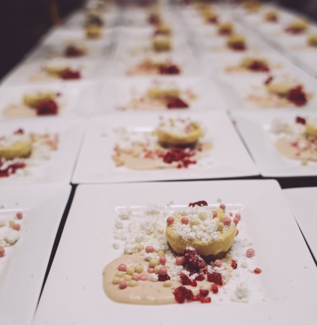 Fundamental Observation Edited Pics-62