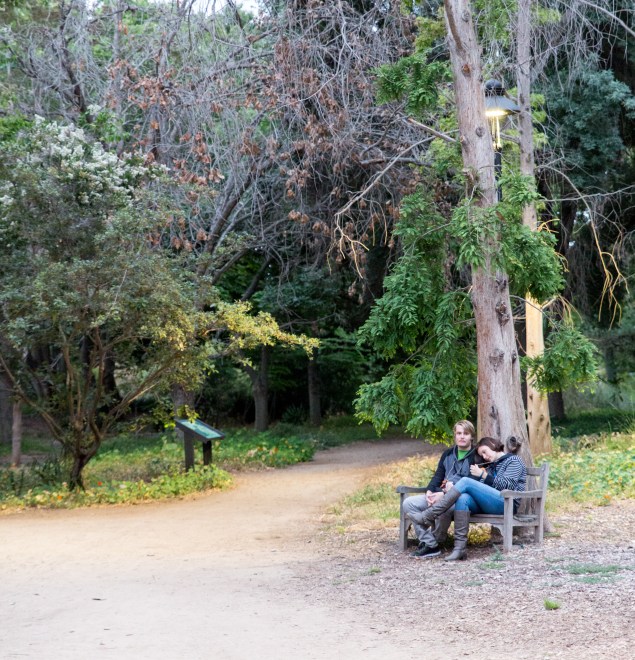 OC Brewers Guild 2016 Edited-21