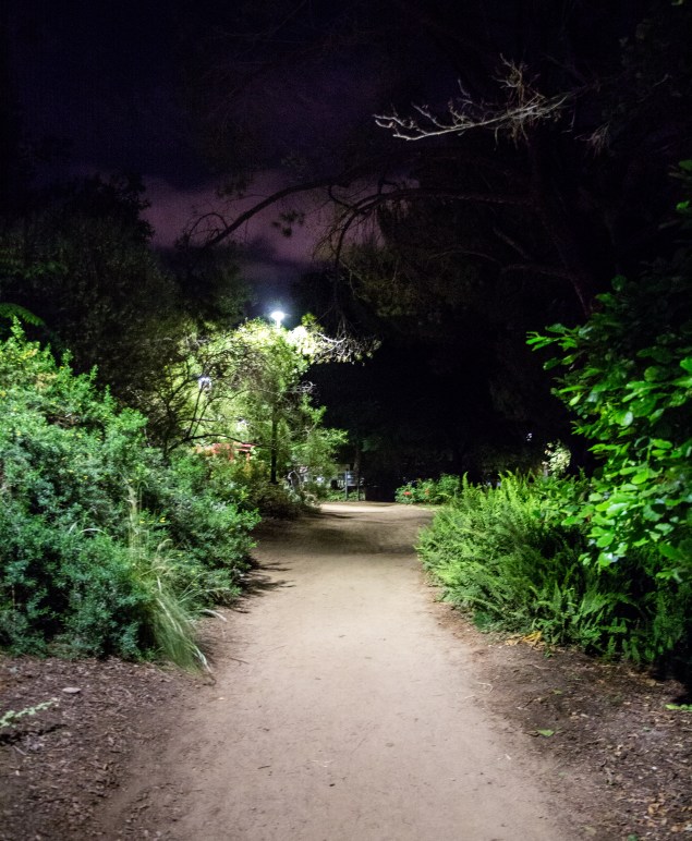 OC Brewers Guild 2016 Edited-35