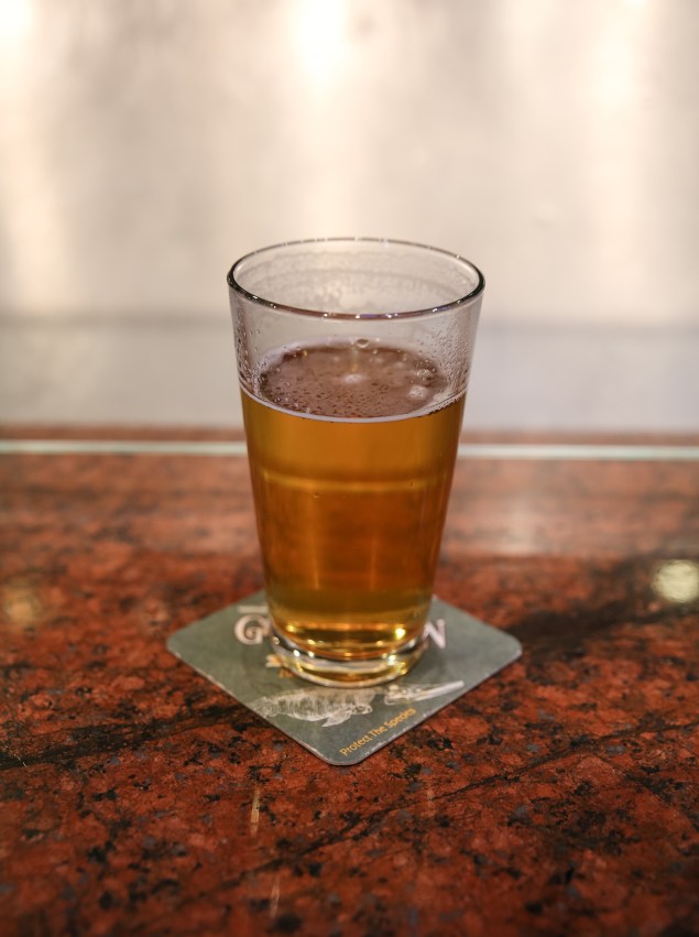 Reno BD Trip Edited-25