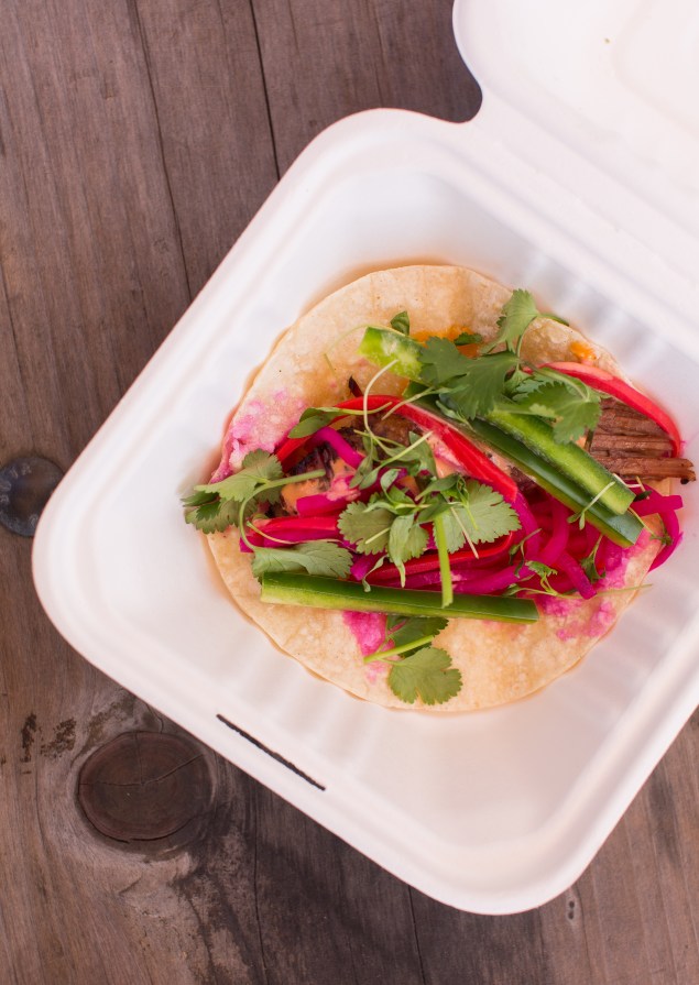 Sabroso 2017 Edited-2