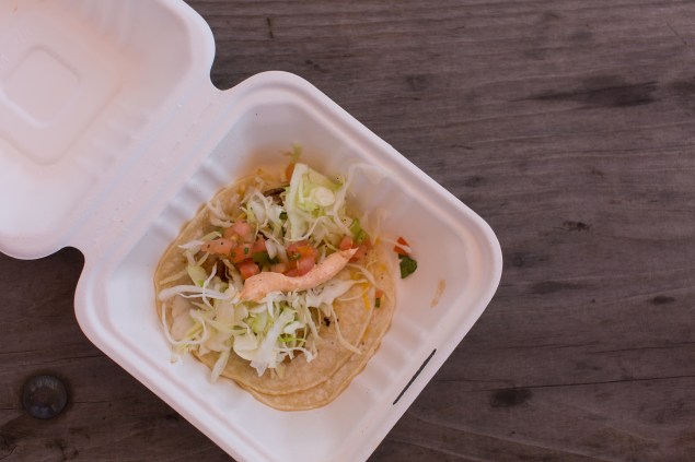 Sabroso 2017 Edited-4