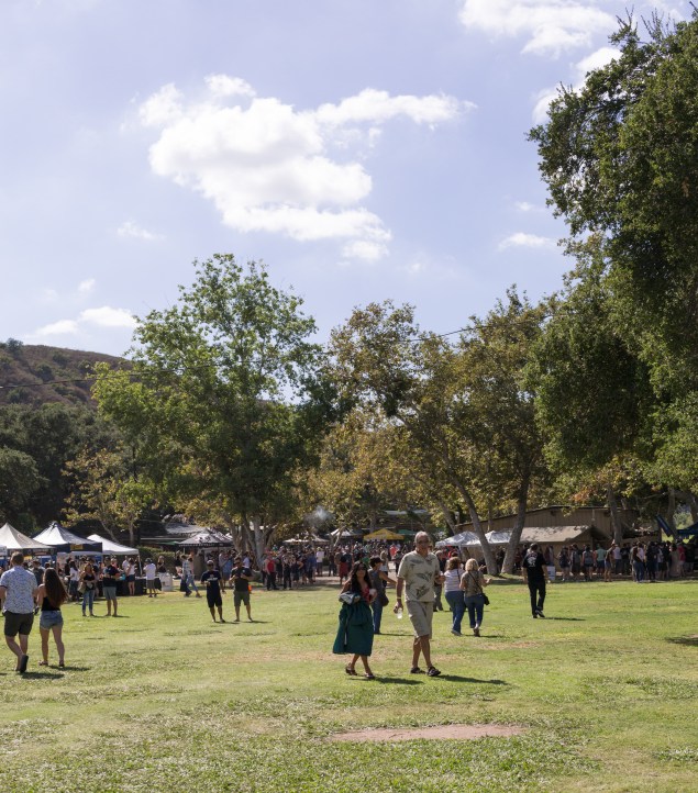 OC Brew Ha Ha 2017-20